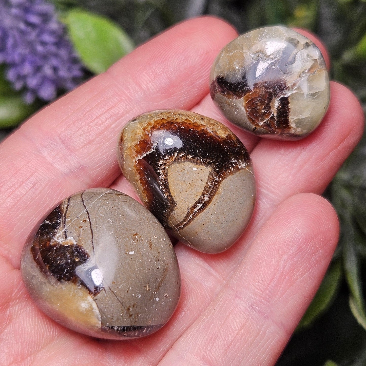 Tumbled Septarian Stone, Dragon Egg Calcite Geode, Septarian Stone Crystal Specimen