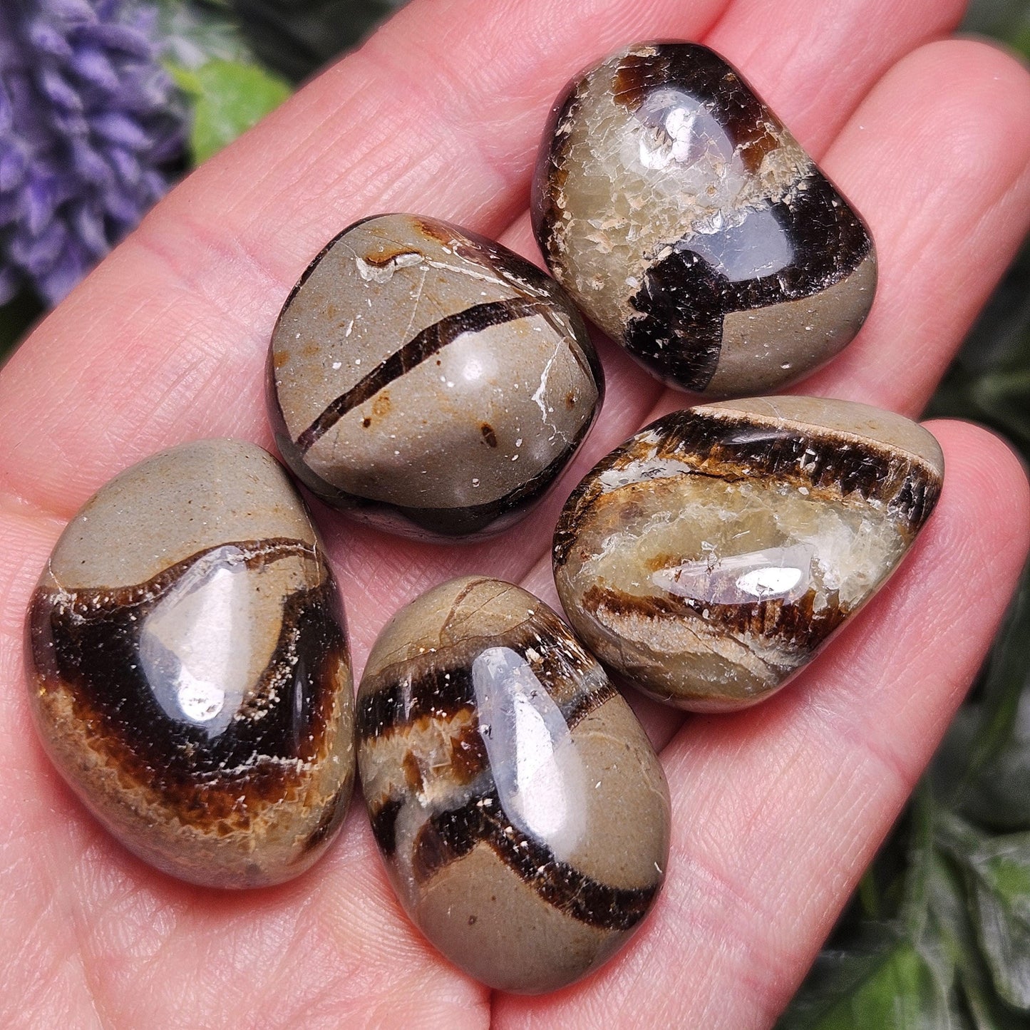 Tumbled Septarian Stone, Dragon Egg Calcite Geode, Septarian Stone Crystal Specimen