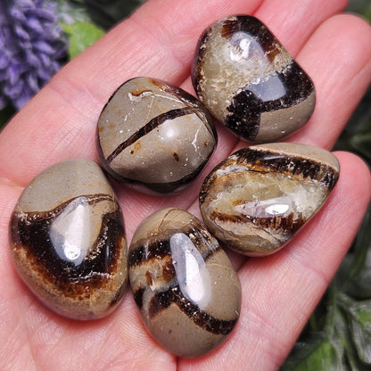 Tumbled Septarian Stone, Dragon Egg Calcite Geode, Septarian Stone Crystal Specimen