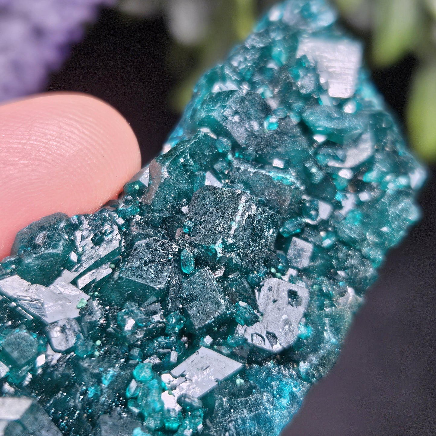 Dioptase Crystal Cluster from Congo 33.13g