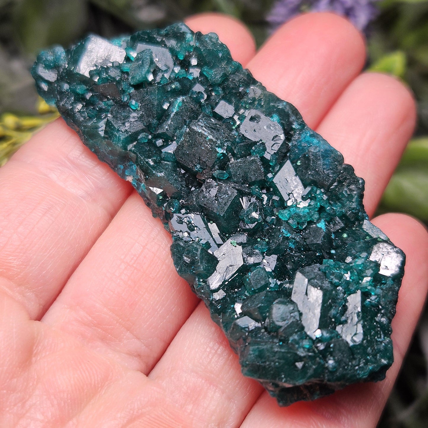 Dioptase Crystal Cluster from Congo 33.13g