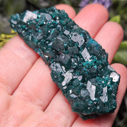 Dioptase Crystal Cluster from Congo 33.13g