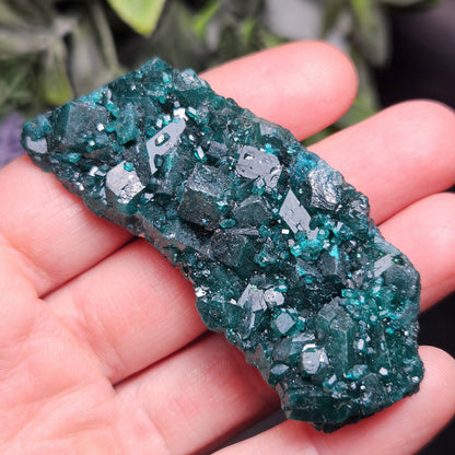 Dioptase Crystal Cluster from Congo 33.13g