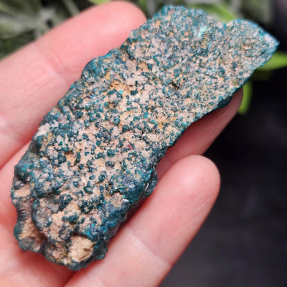 Dioptase Crystal Cluster from Congo 33.13g