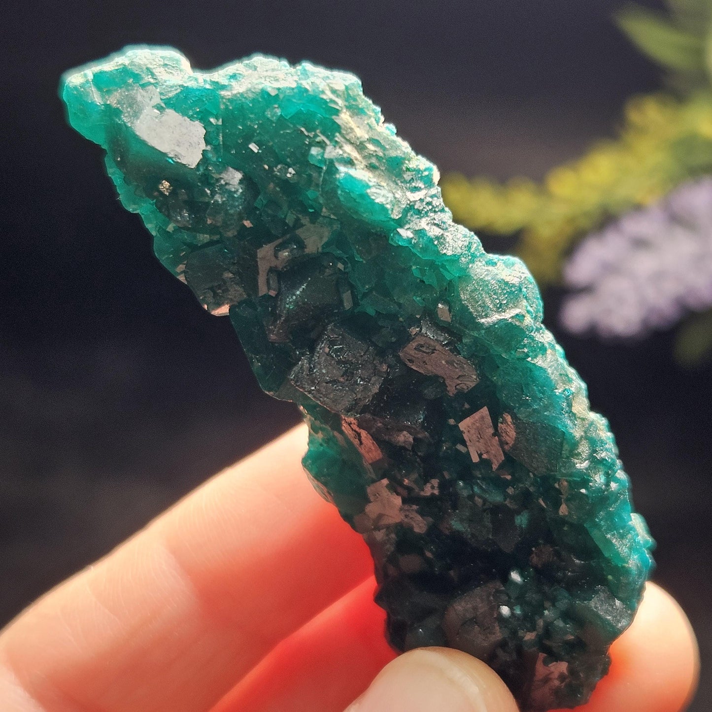 Dioptase Crystal Cluster from Congo 33.13g