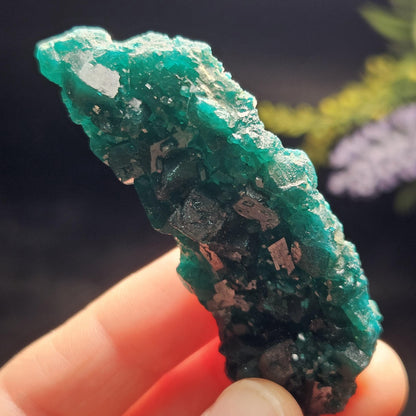 Dioptase Crystal Cluster from Congo 33.13g