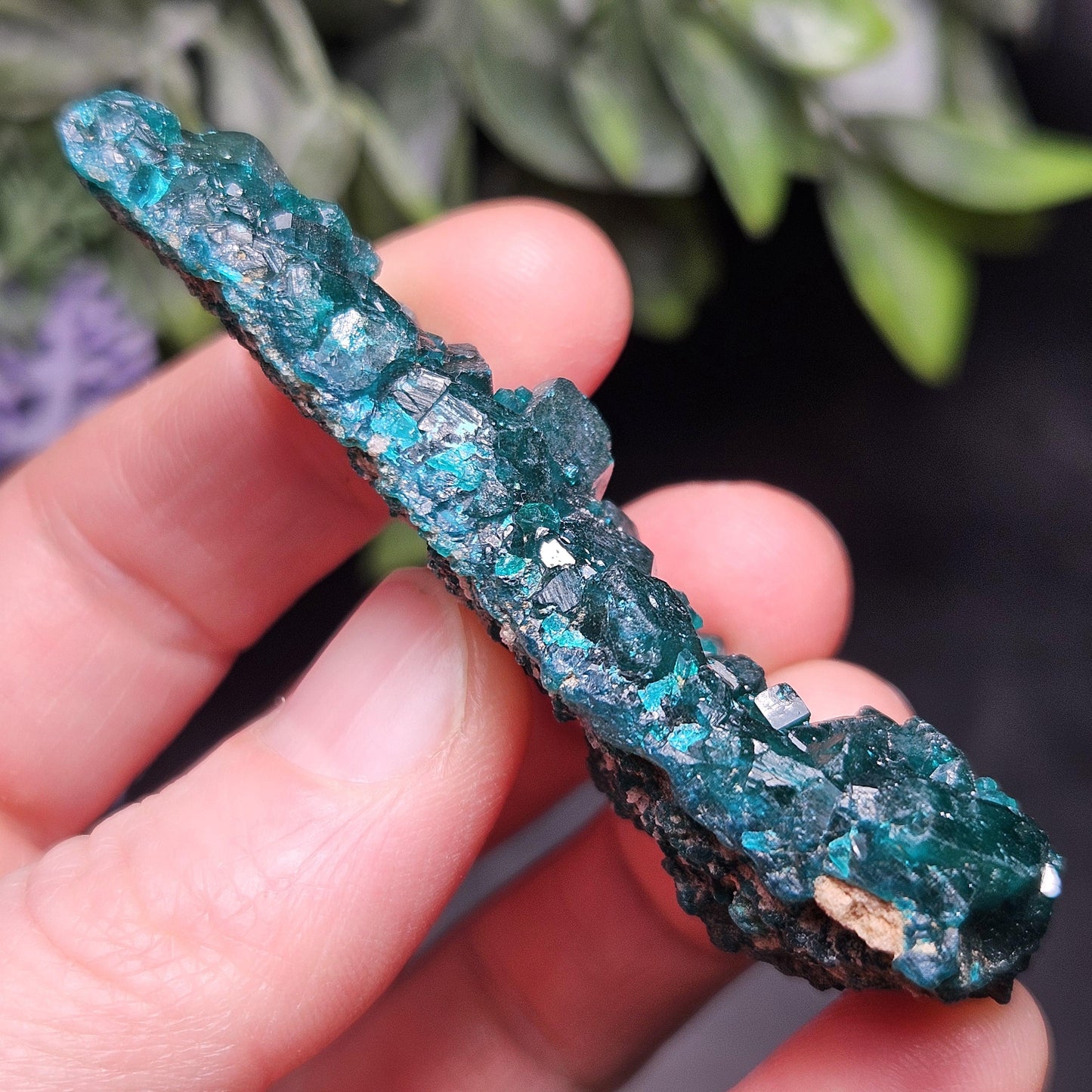 Dioptase Crystal Cluster from Congo 33.13g