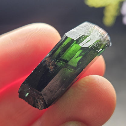 Vivianite Crystal Specimen 6.00g