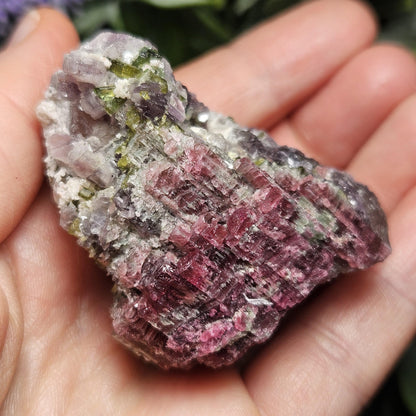 Watermelon Tourmaline in Lepidolite & Quartz from Brazil 73.28g, Pink Tourmaline, Raw Green Tourmaline Specimen, Lepidolite Crystal
