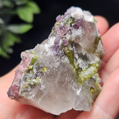 Watermelon Tourmaline in Lepidolite & Quartz from Brazil 73.28g, Pink Tourmaline, Raw Green Tourmaline Specimen, Lepidolite Crystal