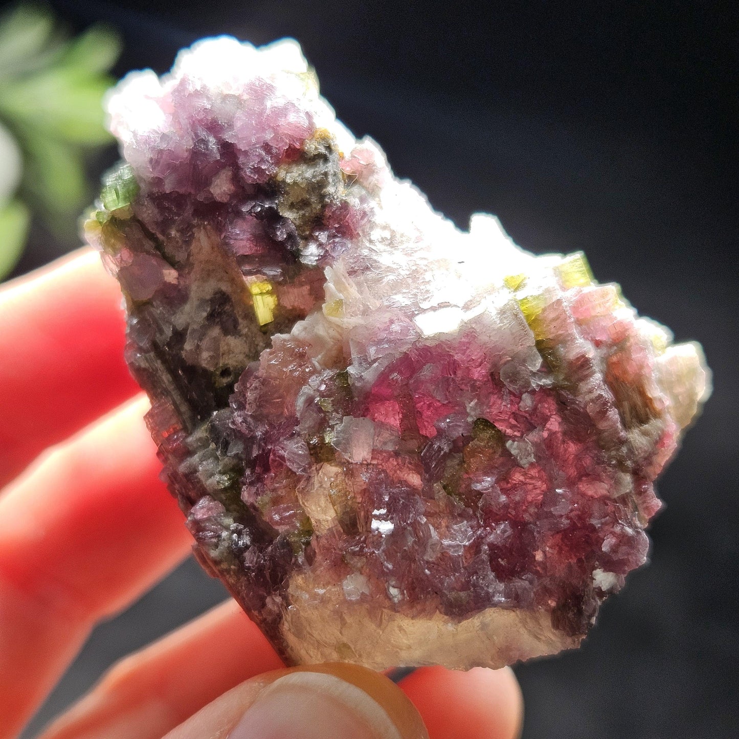 Watermelon Tourmaline in Lepidolite & Quartz from Brazil 73.28g, Pink Tourmaline, Raw Green Tourmaline Specimen, Lepidolite Crystal