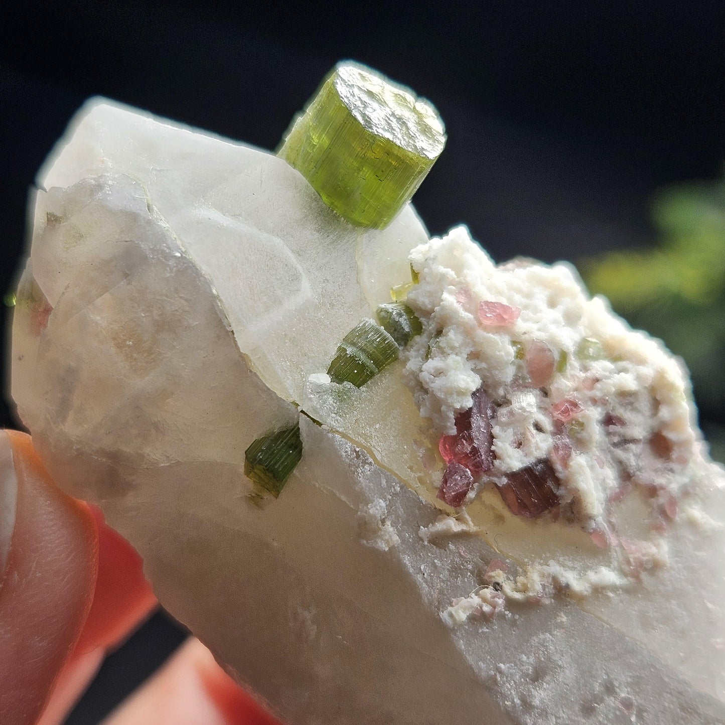 Green & Pink Tourmaline in Quartz Crystal 94.10g, Brazilian Quartz with Tourmaline, Pink Tourmaline Specimen, Watermelon Tourmaline Crystal