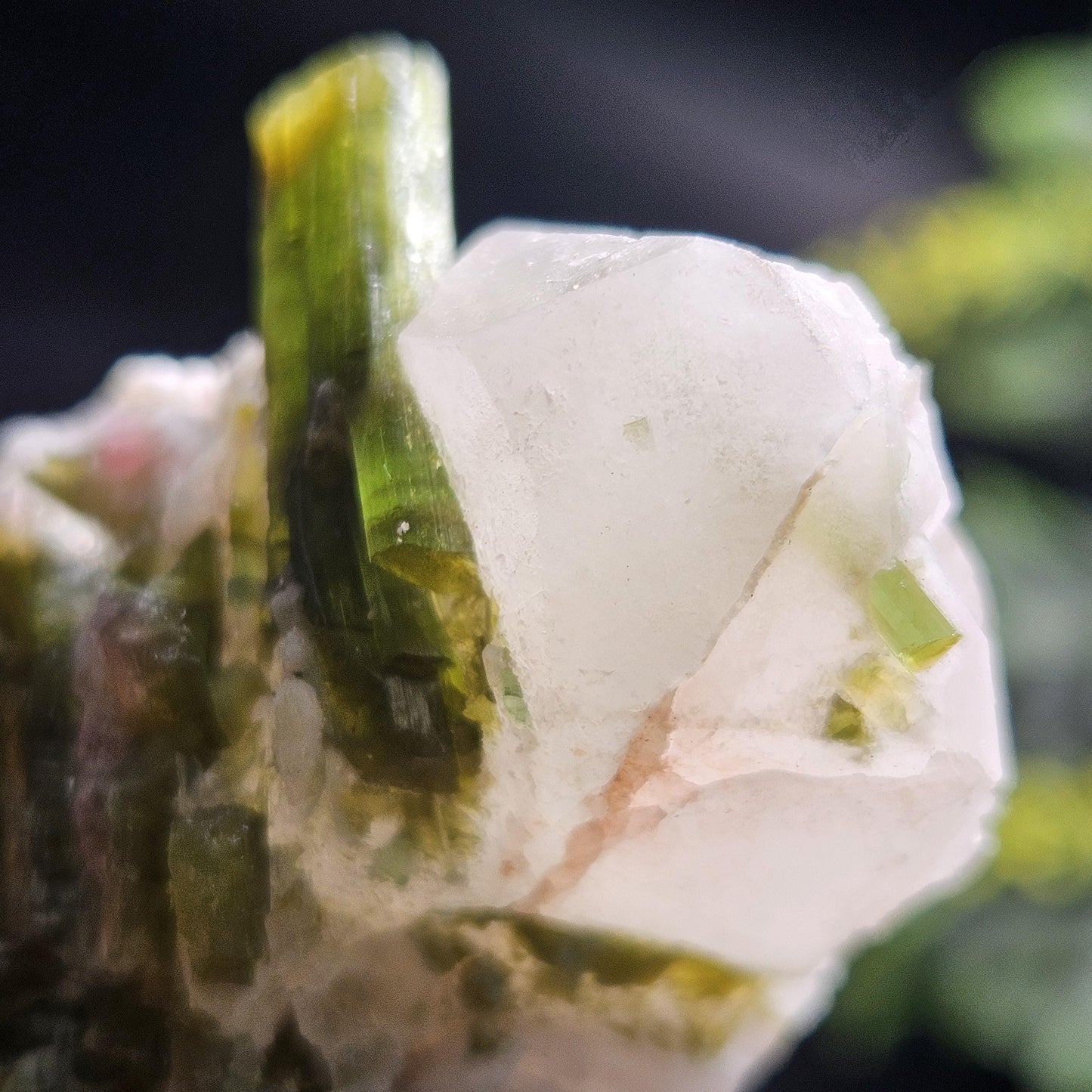 Green & Pink Tourmaline in Quartz Crystal 94.10g, Brazilian Quartz with Tourmaline, Pink Tourmaline Specimen, Watermelon Tourmaline Crystal