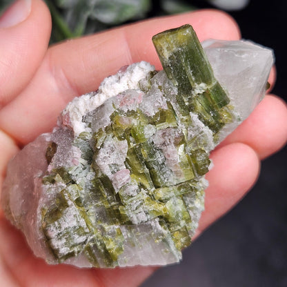Green & Pink Tourmaline in Quartz Crystal 94.10g, Brazilian Quartz with Tourmaline, Pink Tourmaline Specimen, Watermelon Tourmaline Crystal