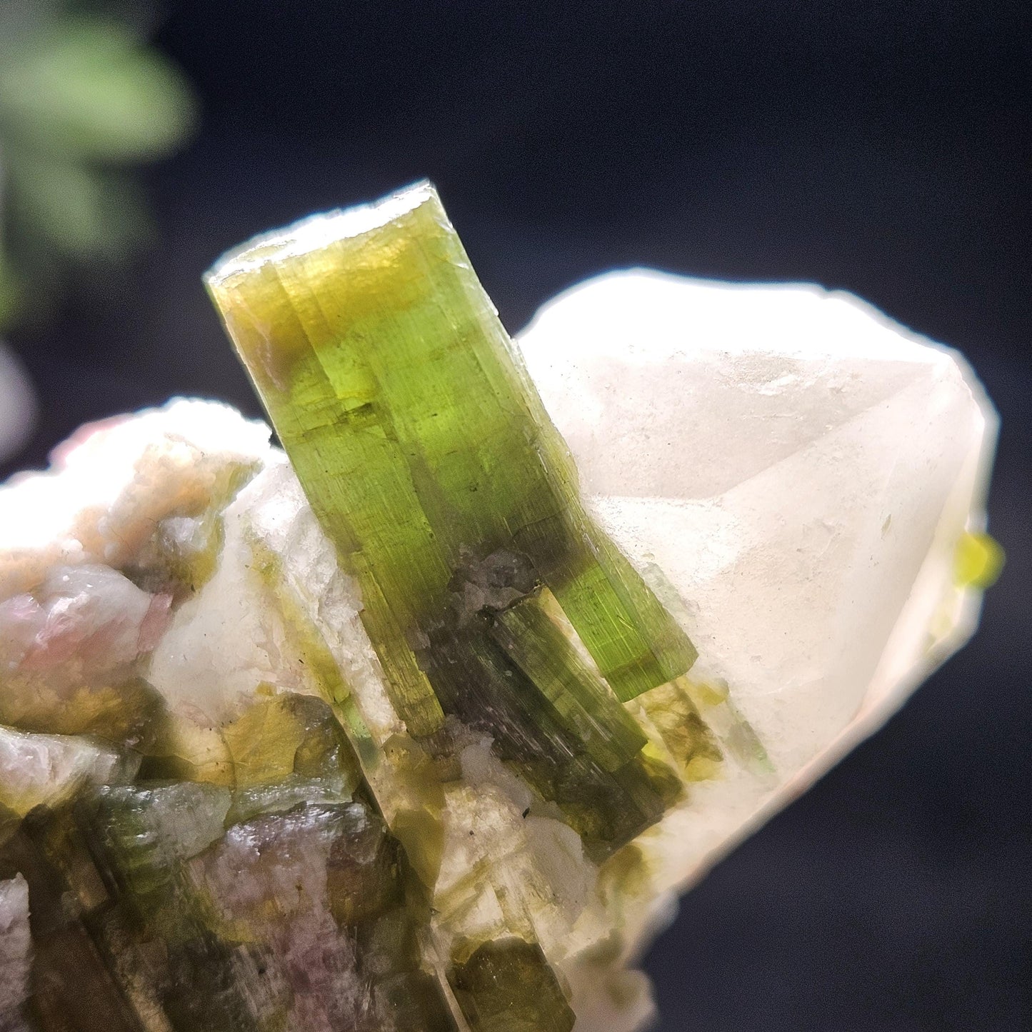 Green & Pink Tourmaline in Quartz Crystal 94.10g, Brazilian Quartz with Tourmaline, Pink Tourmaline Specimen, Watermelon Tourmaline Crystal