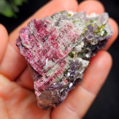 Watermelon Tourmaline in Lepidolite & Quartz from Brazil 73.28g, Pink Tourmaline, Raw Green Tourmaline Specimen, Lepidolite Crystal