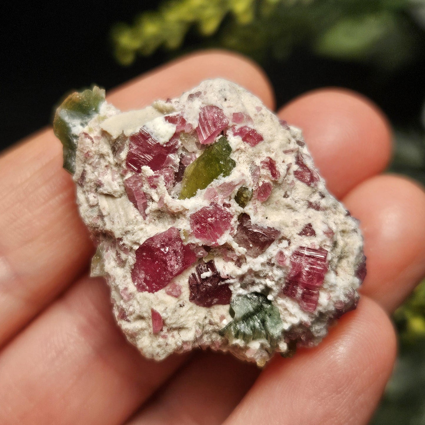 Green & Pink Tourmaline Crystal Specimen 4.96g, Brazilian Quartz with Tourmaline, Pink Tourmaline Specimen, Green Tourmaline Crystal