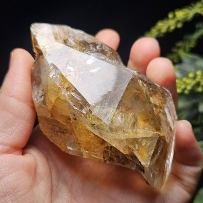 Rainbow Herkimer Diamond Quartz 231g, Skeletal Herkimer Crystal with Rainbow Inclusion, Golden Herkimer Diamond