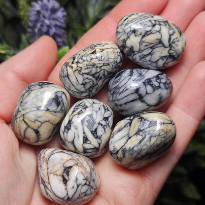 Pinolite Crystal (0.75