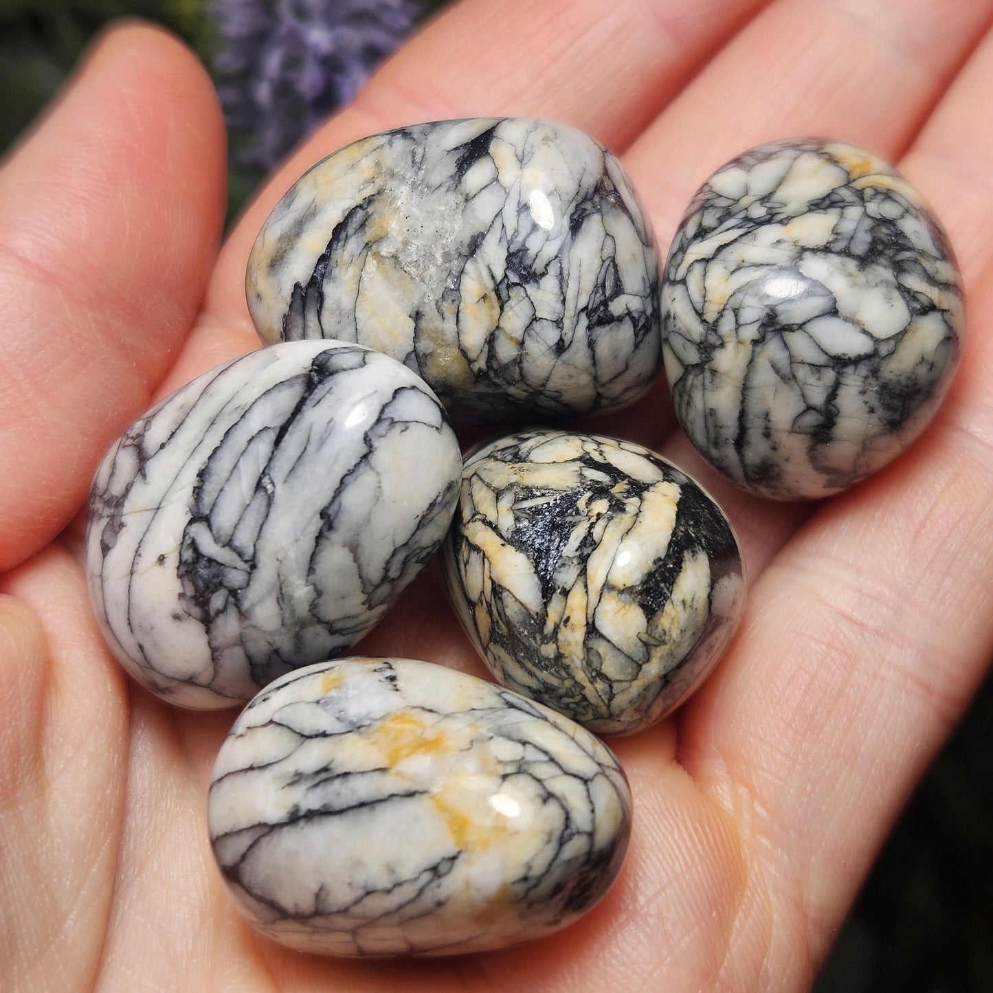 Pinolite Crystal (0.75