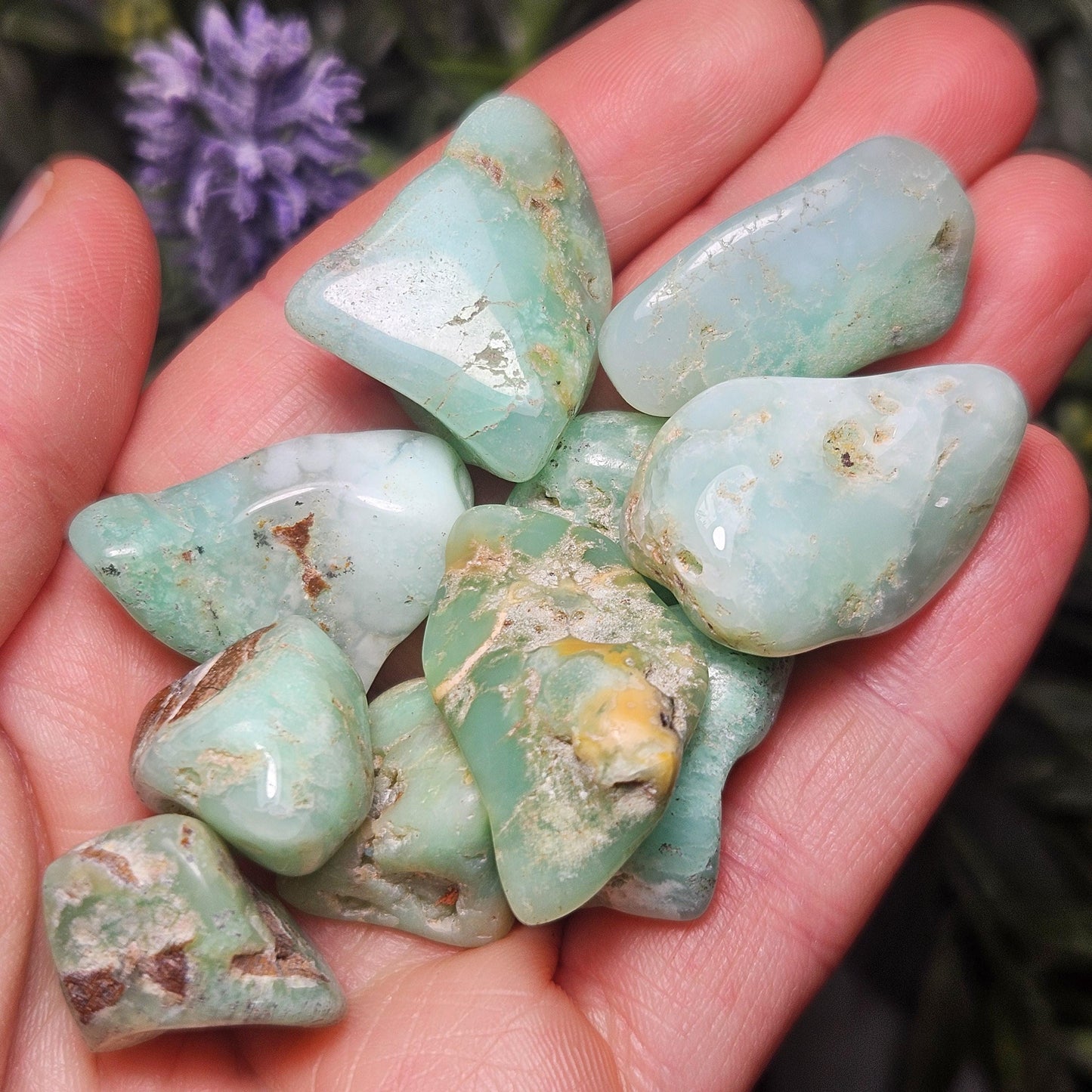 Chrysoprase Tumbled Stone