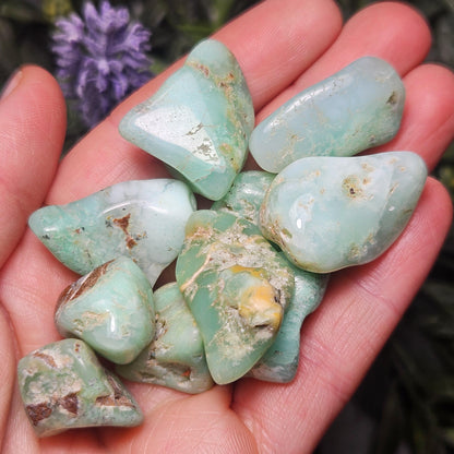 Chrysoprase Tumbled Stone