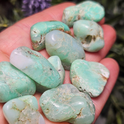 Chrysoprase Tumbled Stone