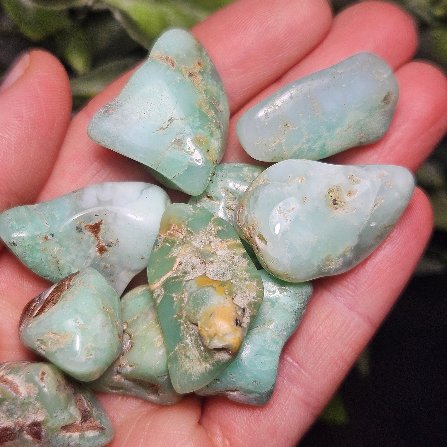 Chrysoprase Tumbled Stone