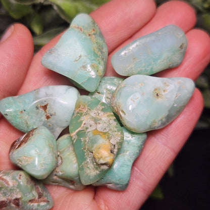Chrysoprase Tumbled Stone