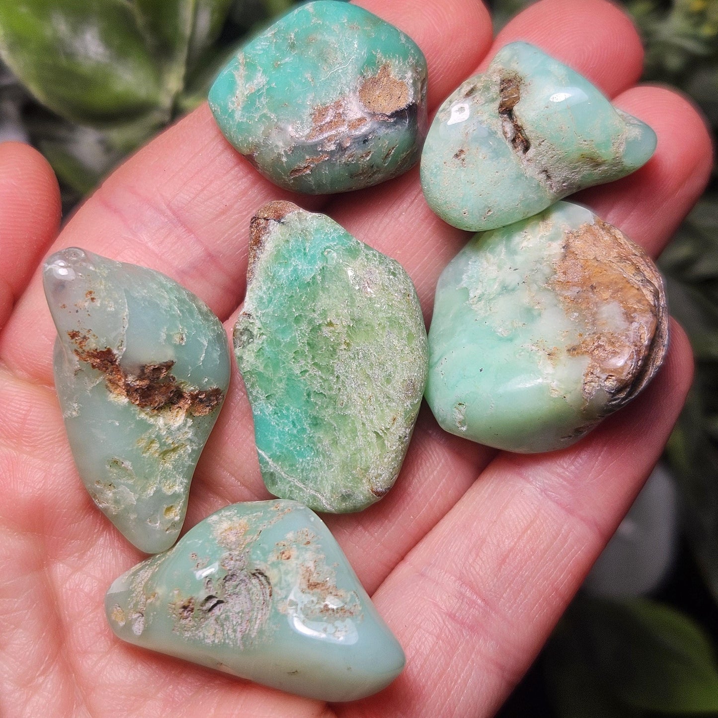 Chrysoprase Tumbled Stone