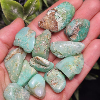 Chrysoprase Tumbled Stone