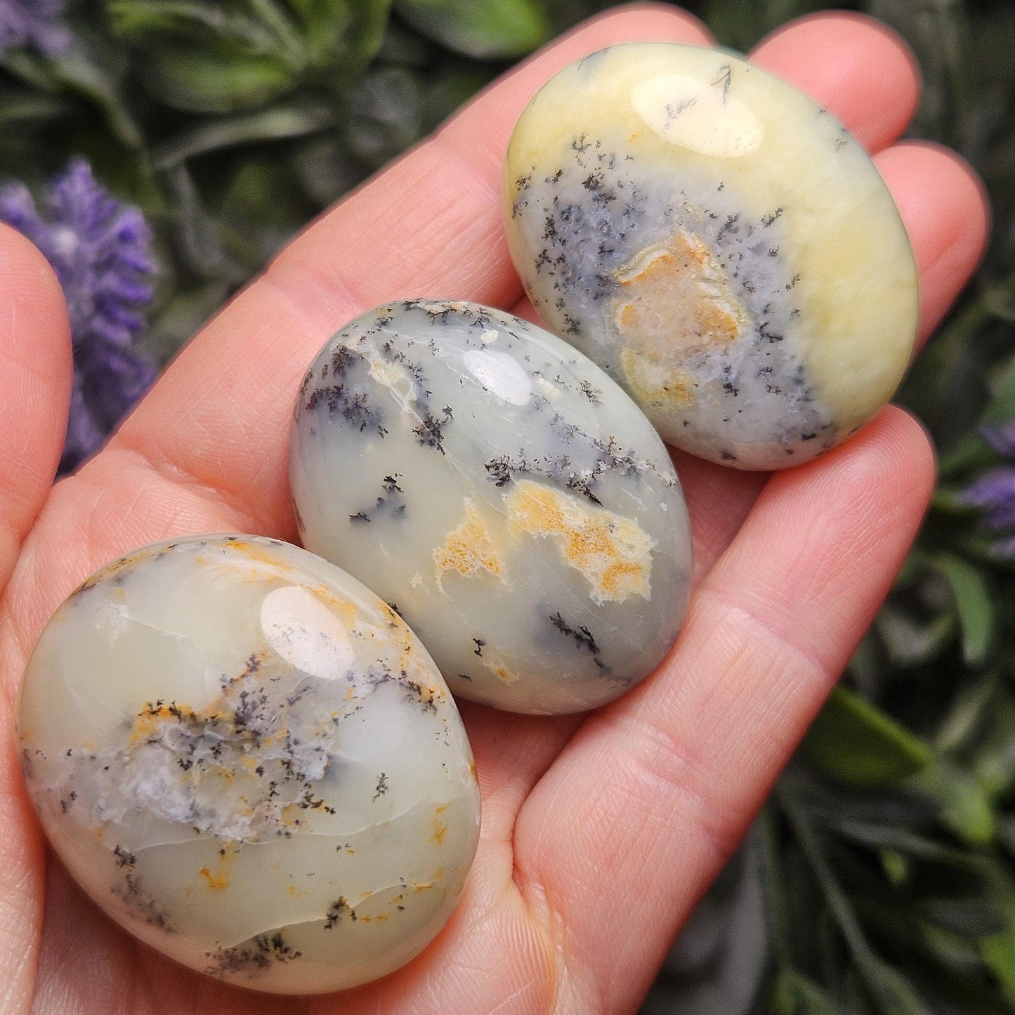 Dendritic Green Opal Palm Stone (1.25"+), Polished Dendritic Opal Crystal