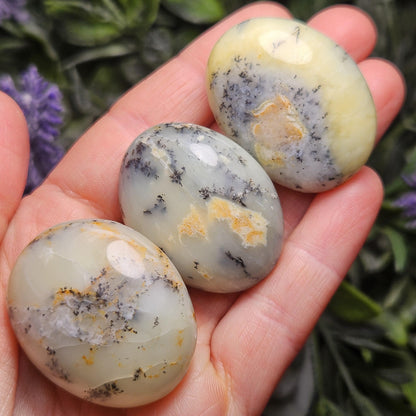 Dendritic Green Opal Palm Stone (1.25"+), Polished Dendritic Opal Crystal