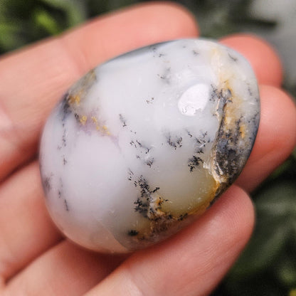 Dendritic Green Opal Palm Stone (1.25"+), Polished Dendritic Opal Crystal