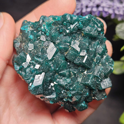 Dioptase Crystal Cluster from Congo 95.65g