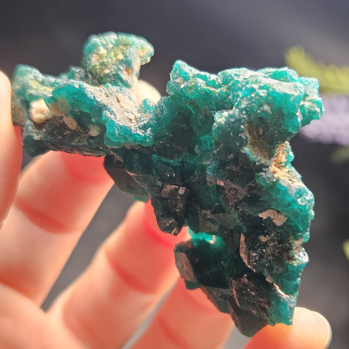 Dioptase Specimen from Congo 50.15g