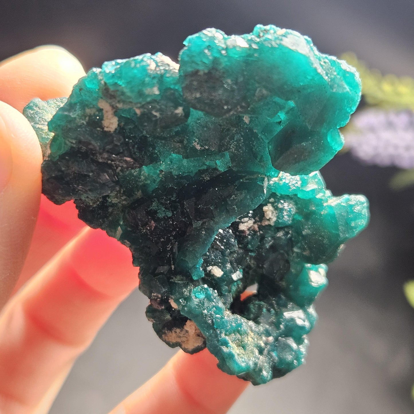 Dioptase Specimen from Congo 50.15g