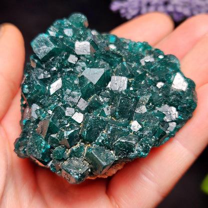 Dioptase Crystal Cluster from Congo 95.65g