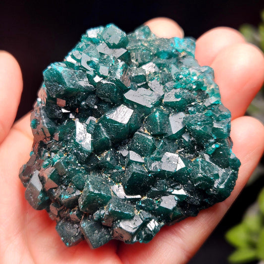 Dioptase Crystal Cluster from Congo 95.65g