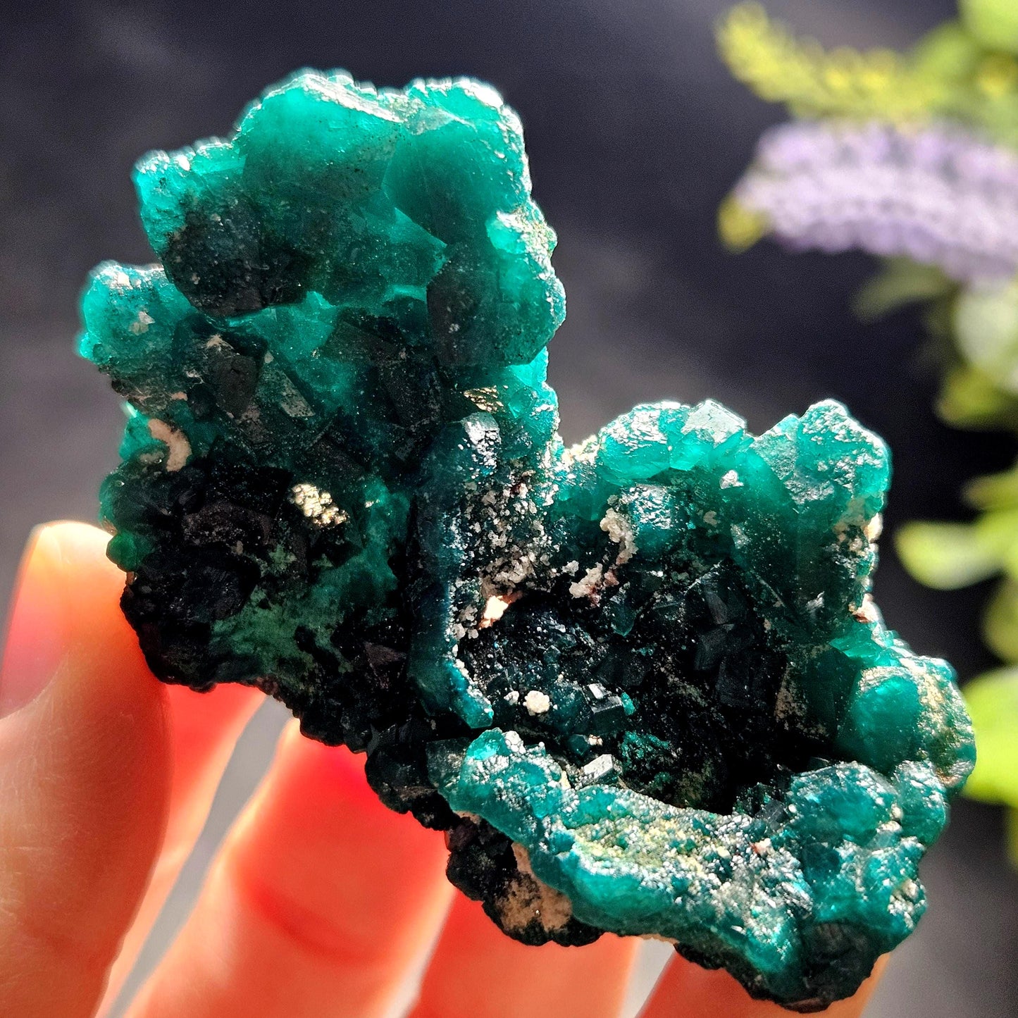 Dioptase Specimen from Congo 50.15g