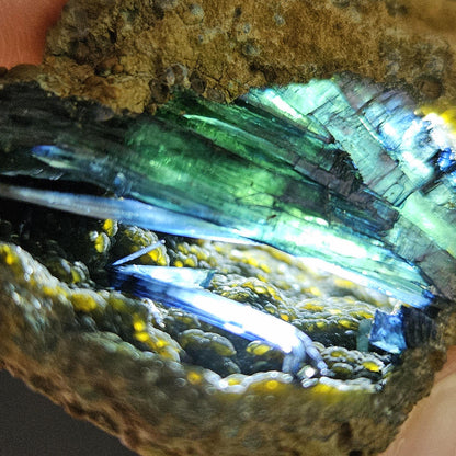 Vivianite Crystal Cluster with Botryoidal Chalcedony 63.24g, Raw Blue