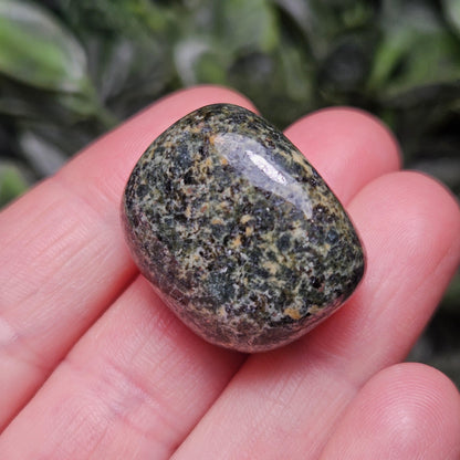 Preseli Bluestone Polished Specimen (0.75"+), Stonehenge Bluestone, Preseli Blue Stone Tumbled Crystal