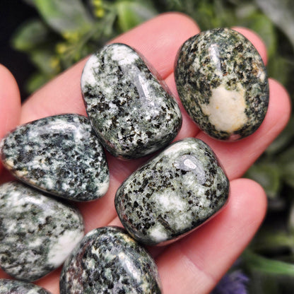 Preseli Bluestone Polished Specimen (0.75"+), Stonehenge Bluestone, Preseli Blue Stone Tumbled Crystal