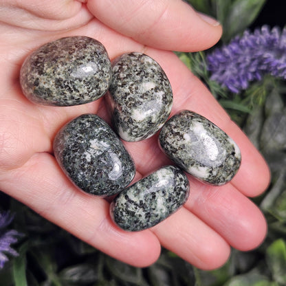 Preseli Bluestone Polished Specimen (0.75"+), Stonehenge Bluestone, Preseli Blue Stone Tumbled Crystal