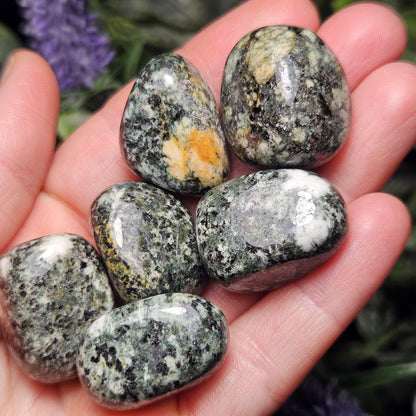 Preseli Bluestone Polished Specimen (0.75"+), Stonehenge Bluestone, Preseli Blue Stone Tumbled Crystal