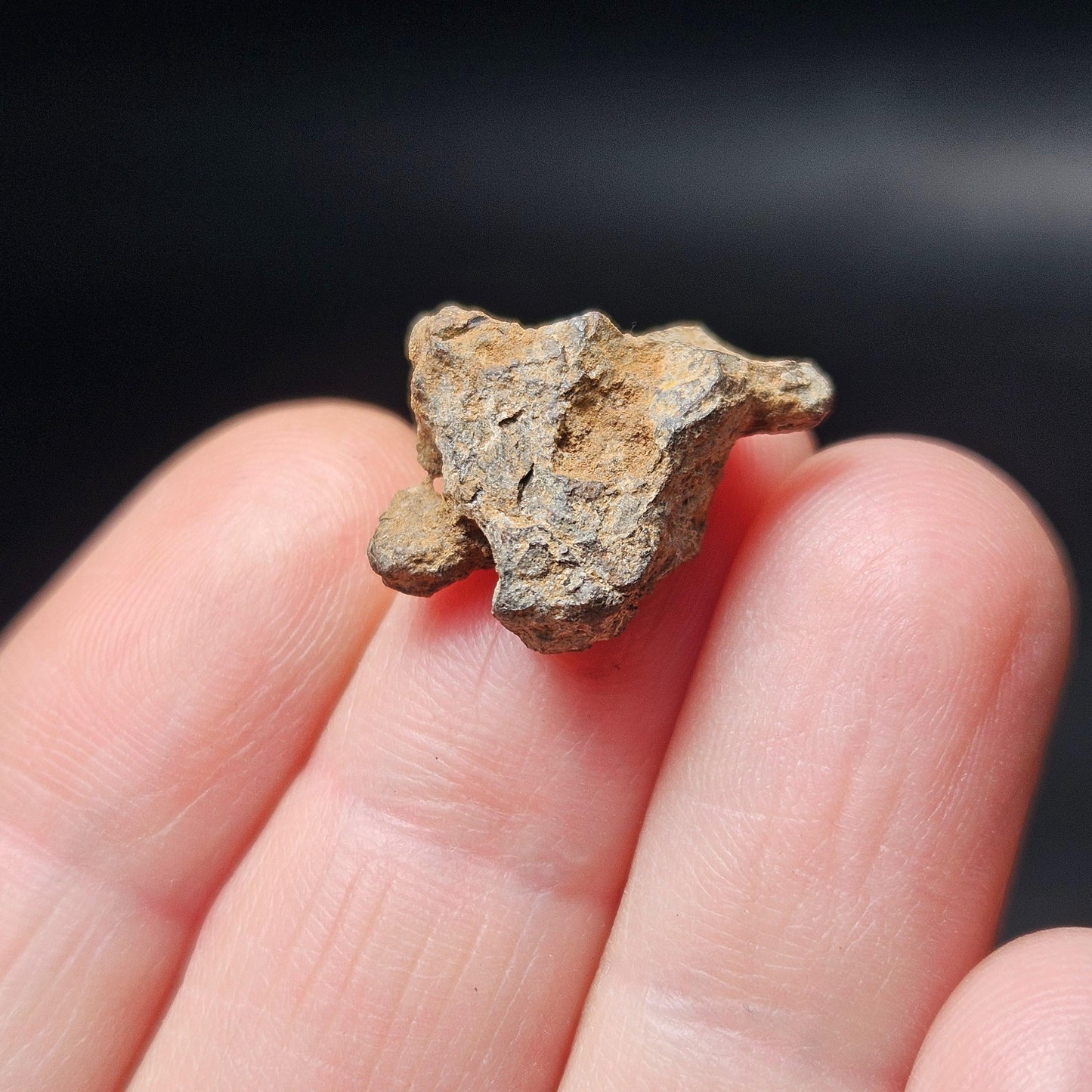 Meteorite Specimen, Natural Raw Kenyan Sericho Pallasite Meteorite