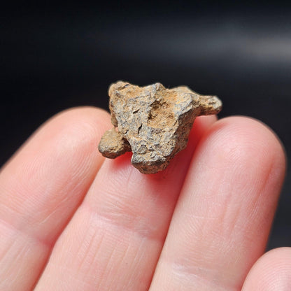 Meteorite Specimen, Natural Raw Kenyan Sericho Pallasite Meteorite