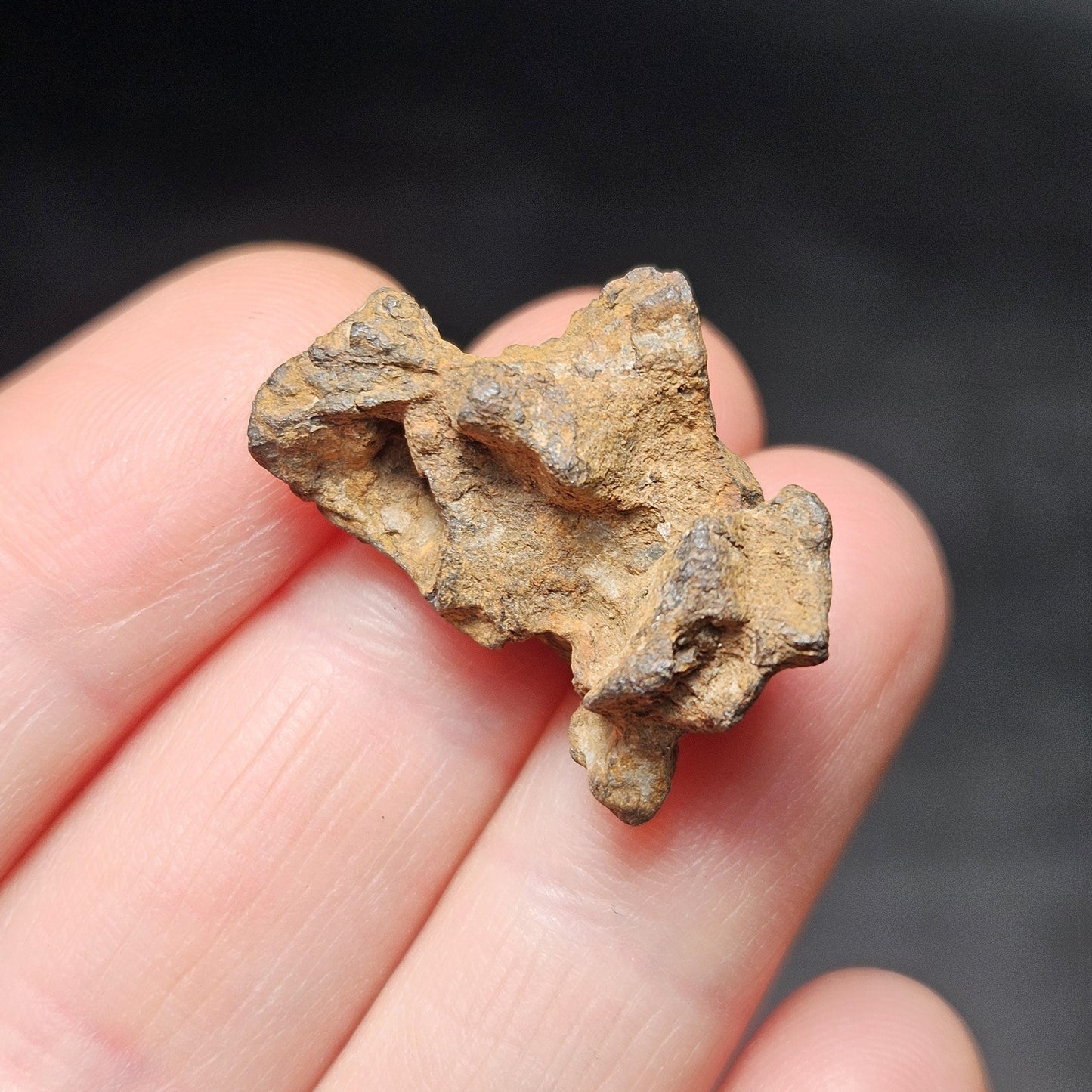Meteorite Specimen, Natural Raw Kenyan Sericho Pallasite Meteorite