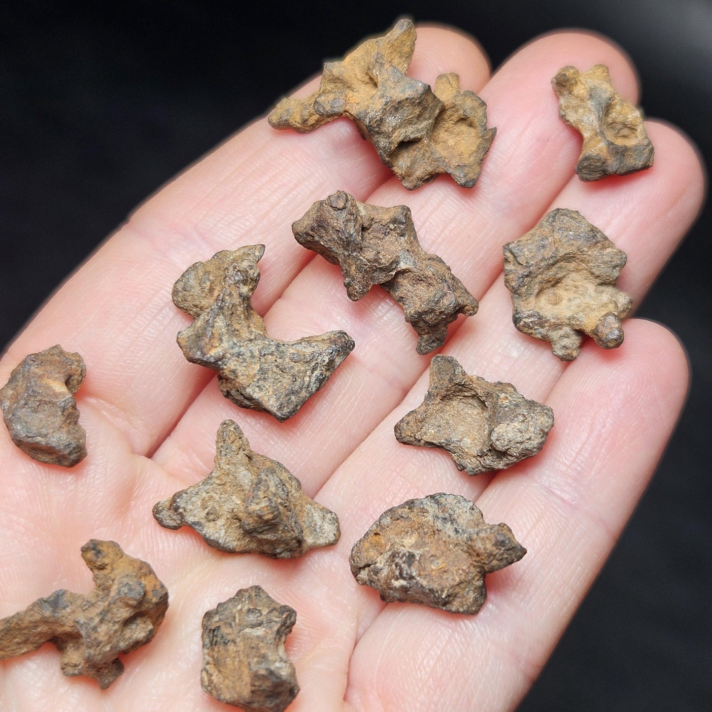 Meteorite Specimen, Natural Raw Kenyan Sericho Pallasite Meteorite