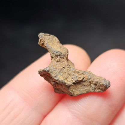 Meteorite Specimen, Natural Raw Kenyan Sericho Pallasite Meteorite